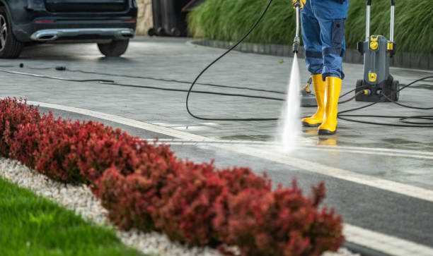 Best Soft Washing  in Rockdale, TX